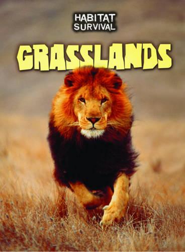 Grasslands - Raintree Perspectives: Habitat Survival (Hardback)