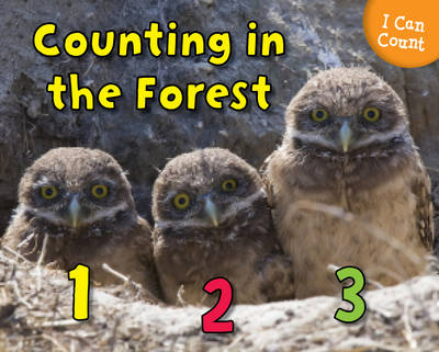 Counting in the Forest - Early Years: I Can Count! (Hardback)
