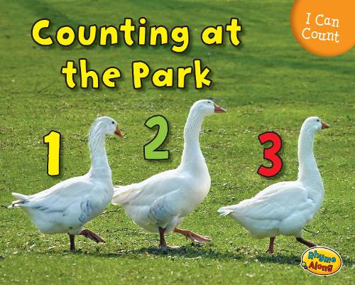 Counting at the Park - Early Years: I Can Count! (Paperback)
