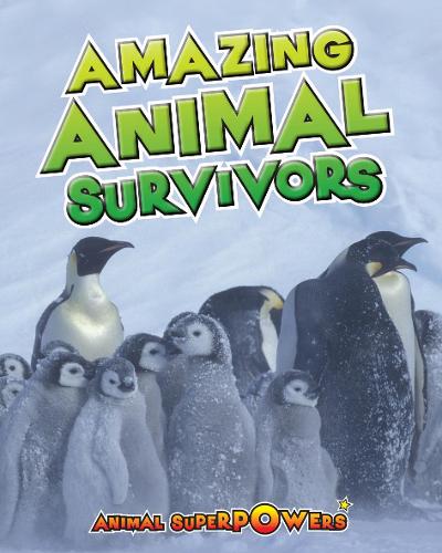 Amazing Animal Survivors - Read Me!: Animal Superpowers (Paperback)