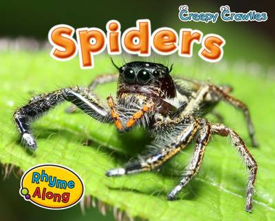 Spiders - Early Years: Creepy Crawlies (Paperback)