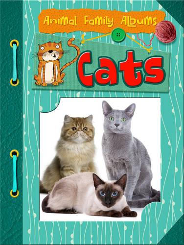 Cats - Raintree Perspectives: Animal Family Albums (Paperback)