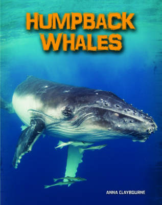 Humpback Whales - InfoSearch: Living in the Wild: Sea Mammals (Paperback)