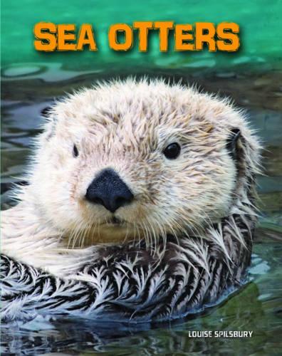 Sea Otters - InfoSearch: Living in the Wild: Sea Mammals (Paperback)