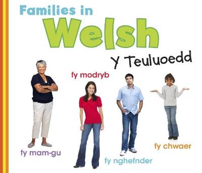 Families in Welsh: Y Teuluoedd - World Languages - Families (Hardback)