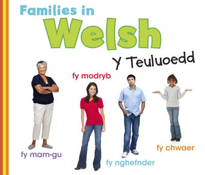 Families in Welsh: Y Teuluoedd - World Languages - Families (Paperback)