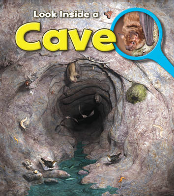 A Cave - Young Explorer: Look Inside (Paperback)