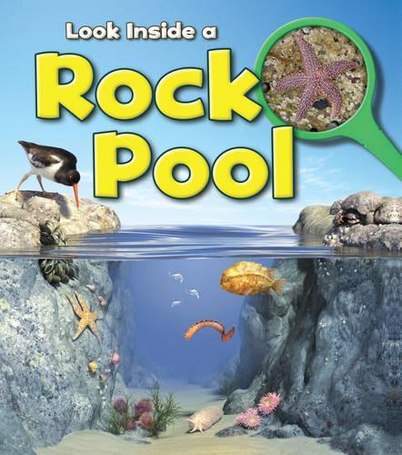 A Rock Pool - Young Explorer: Look Inside (Paperback)