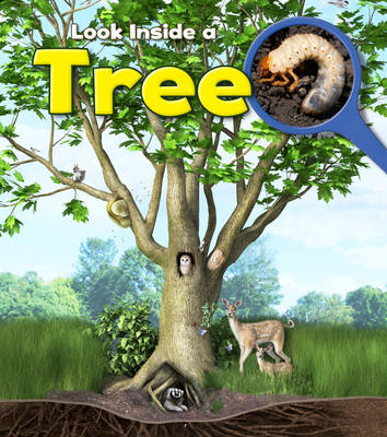 Tree - Young Explorer: Look Inside (Paperback)