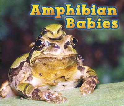 Amphibian Babies - Acorn: Animal Babies (Hardback)