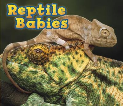 Reptile Babies - Acorn: Animal Babies (Hardback)