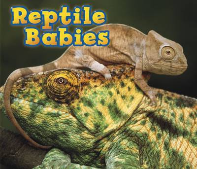 Reptile Babies - Acorn: Animal Babies (Paperback)