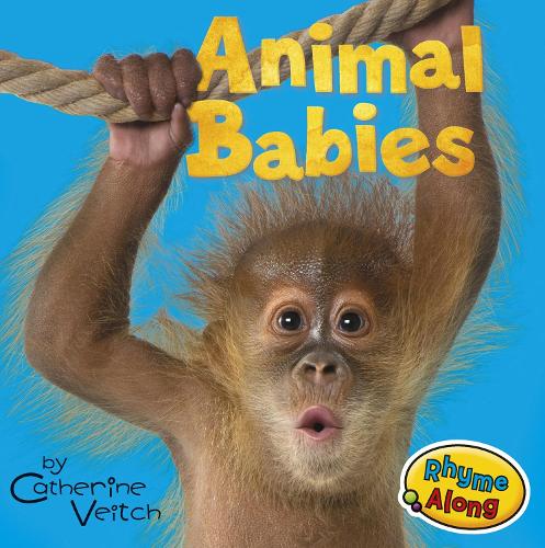 Animal Babies - Acorn: Animal Babies (Board book)
