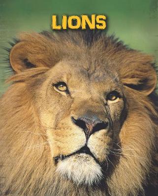 Lions - InfoSearch: Living in the Wild: Big Cats (Hardback)
