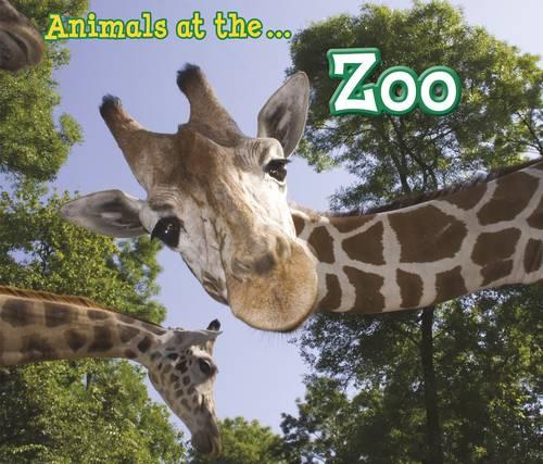 Animals at the Zoo by Sian Smith | Waterstones