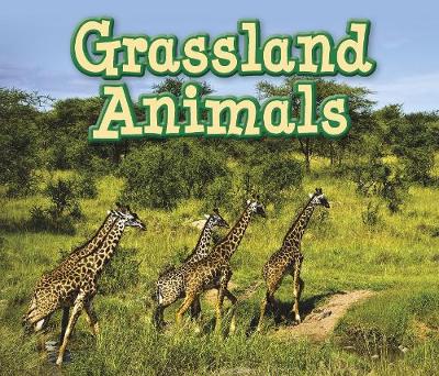 Grassland Animals - Acorn: Animals in Their Habitats (Hardback)