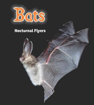 Bats: Nocturnal Flyers - Read and Learn: Night Safari (Hardback)