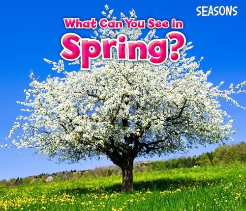 What Can You See In Spring? - Acorn: Seasons (Paperback)