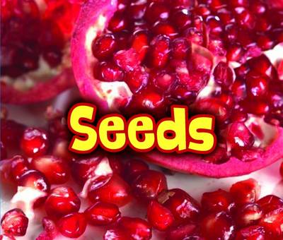 All About Seeds - Acorn: All About Plants (Paperback)