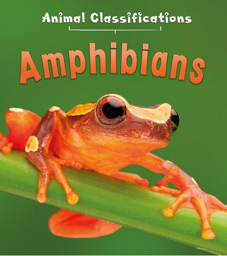 Amphibians - First Library: Animal Classification (Hardback)