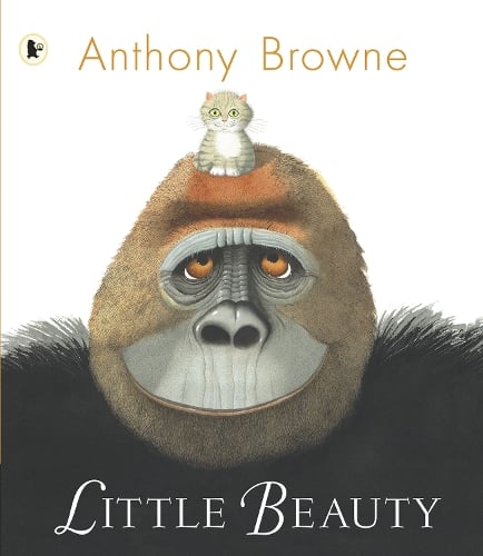 Books Written and Illustrated by Anthony Browne | Waterstones