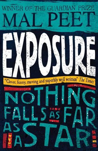 Exposure (Paperback)