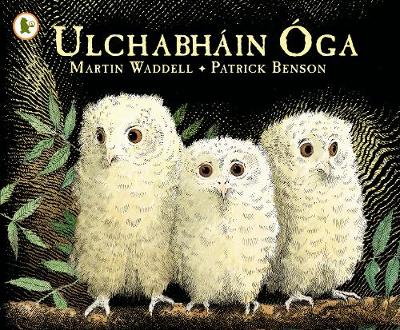 Ulchabhain Oga (Owl Babies) - Walker Eireann (Paperback)