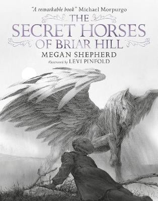 the secret horses of briar hill by megan shepherd