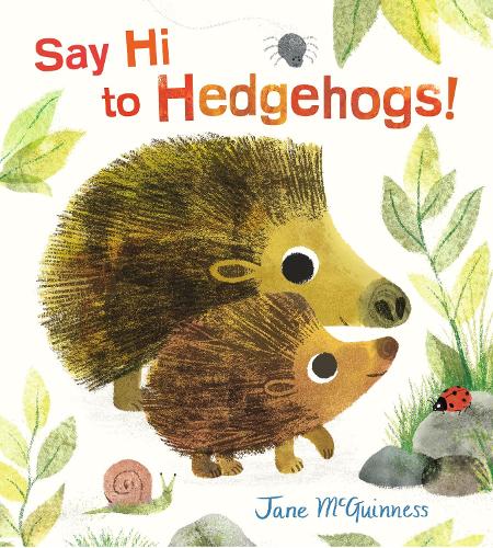 Say Hi to Hedgehogs! (Hardback)