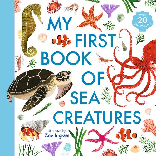 My First Book of Sea Creatures - My First Book of (Hardback)