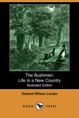 The Bushman: Life in a New Country (Paperback)