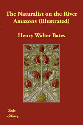 The Naturalist on the River Amazons (Illustrated) (Hardback)