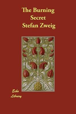 The Burning Secret (Paperback)