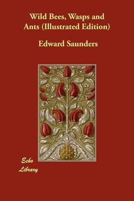 Wild Bees, Wasps and Ants (Illustrated Edition) (Paperback)