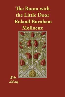 The Room with the Little Door (Paperback)