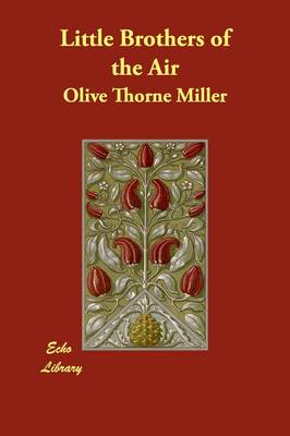 Little Brothers of the Air (Paperback)