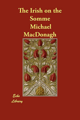The Irish on the Somme (Paperback)