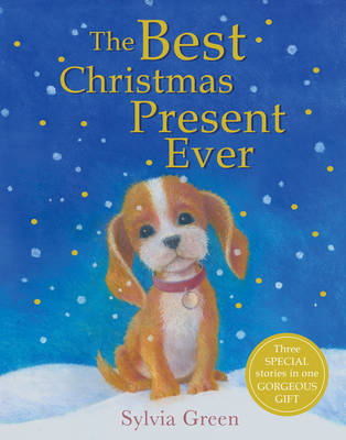 The Best Christmas Present Ever (Paperback)
