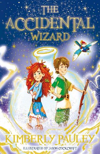 The Accidental Wizard (Paperback)