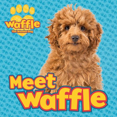 waffle the wonder dog toy