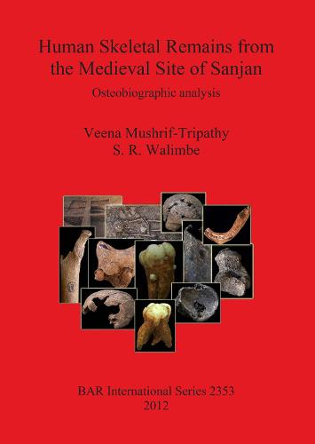 Human Skeletal Remains from The Medieval Site of Sanjan: Osteobiographic analysis - British Archaeological Reports International Series (Paperback)