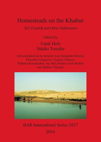 Excavation report for the Yale University excavations at Tell Ziyadeh (Khabur Basin, Syria): Tell Ziyadeh and Other Settlements - British Archaeological Reports International Series (Paperback)