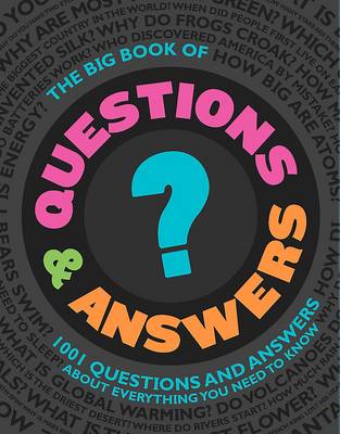 Big Book of Questions and Answers (Paperback)