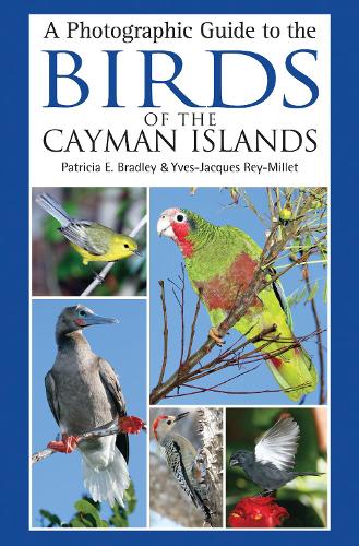 A Photographic Guide to the Birds of the Cayman Islands (Paperback)