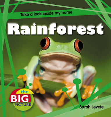 Rainforest - Big Picture (Paperback)