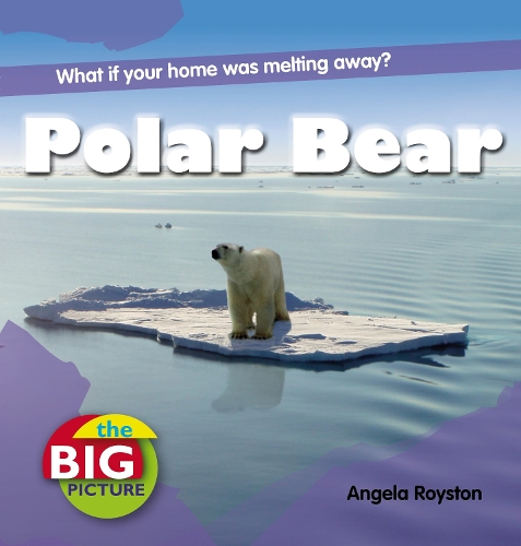 Polar Bear - Big Picture (Paperback)