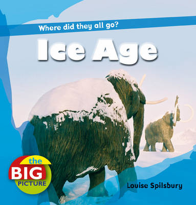 Ice Age - Big Picture (Paperback)