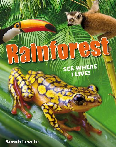 Rainforest See Where I Live!: Age 6-7, below average readers - White Wolves Non Fiction (Paperback)