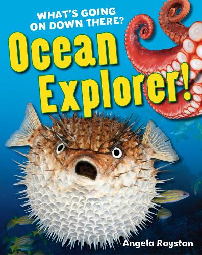 Ocean Explorer!: Age 5-6, below average readers - White Wolves Non Fiction (Hardback)