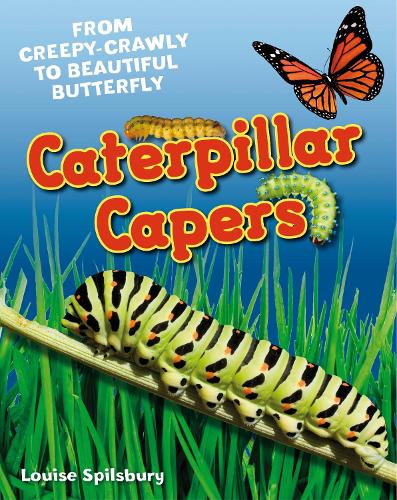 Caterpillar Capers: Age 5-6, above average readers - White Wolves Non Fiction (Hardback)